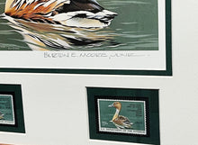 Load image into Gallery viewer, Burton E. Moore - 1986 Federal Duck Stamp Print With Double Stamps - Whistling Tree Duck&#39;s -  Brand New Custom Sporting Frame