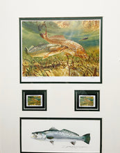 Load image into Gallery viewer, Chance Yarbrough - 2016 Coastal Conservation Association CCA Stamp Print Artist Proof With Double Stamps - 2 Beautiful 6&quot; x 12&quot; Original Watercolor Inlays - Brand New Custom Sporting Frame