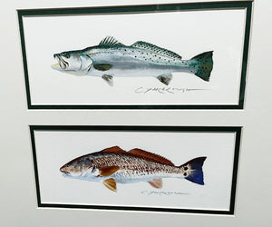 Chance Yarbrough - 2016 Coastal Conservation Association CCA Stamp Print Artist Proof With Double Stamps - 2 Beautiful 6" x 12" Original Watercolor Inlays - Brand New Custom Sporting Frame