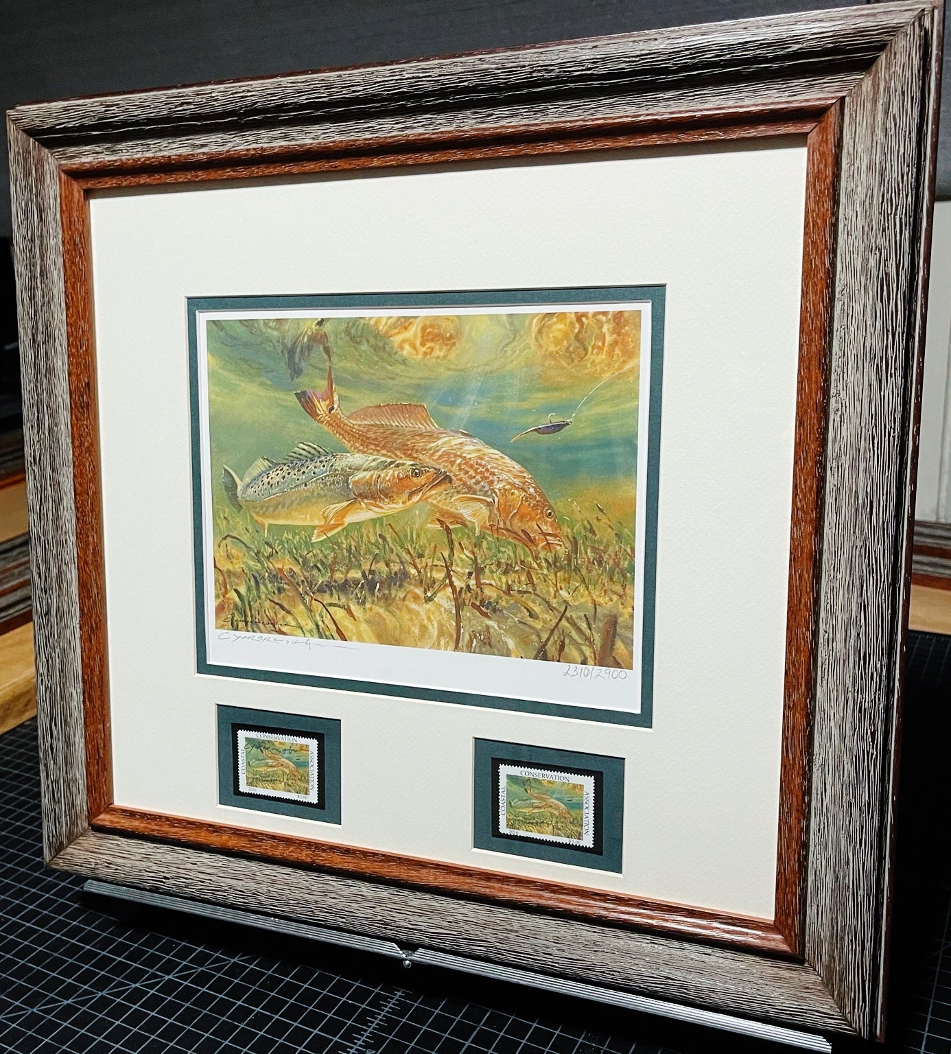 Chance Yarbrough - 2016 CCA Coastal Conservation Association Stamp Print With Double Stamps - Brand New Custom Sporting Frame