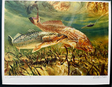 Load image into Gallery viewer, Chance Yarbrough - 2016 CCA Coastal Conservation Association Stamp Print With Double Stamps - Brand New Custom Sporting Frame