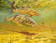 Load image into Gallery viewer, Chance Yarbrough Black Crab Reds GiClee Full Sheet - Brand New Super Custom Sporting Frame