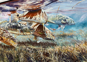 Chance Yarbrough - Fence Lake Frenzy - GiClee Artist Proof - Brand New Custom Sporting Frame