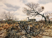 Load image into Gallery viewer, Chance Yarbrough - Pit Blind Booner - Full Sheet GiClee - Brand New Custom Sporting Frame