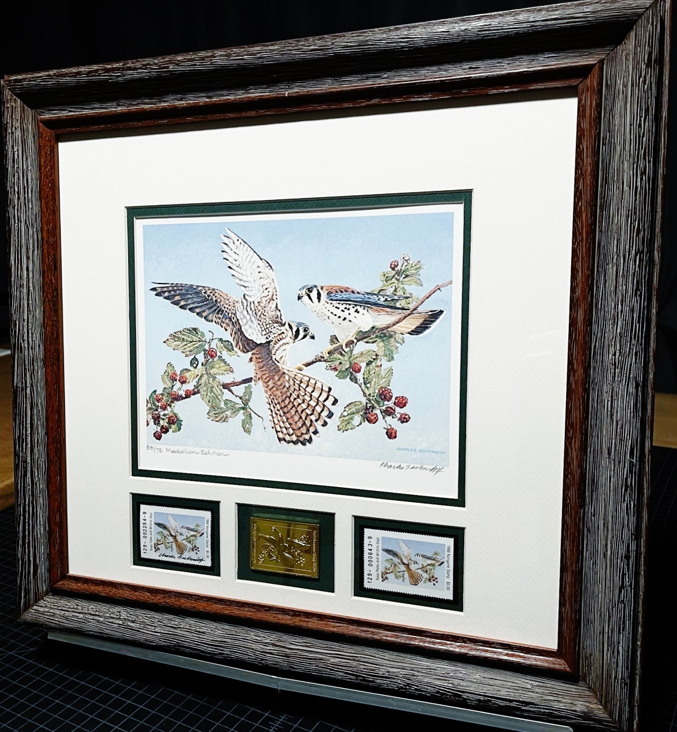 Charles Beckendorf - 1988 Texas Non-Game Medallion Edition Stamp Print With Double Stamps - Brand New Custom Sporting Frame