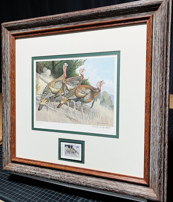 Charles Beckendorf 1995 Texas Turkey Stamp Print With Stamp - Brand New Super Custom Sporting Frame
