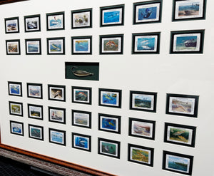 Complete Set Coastal Conservation Association, CCA Stamps 1983 To 2017 Shadow Box With Spoon - Brand New Custom Sporting Frame