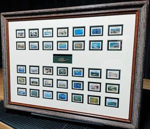 Complete Set Coastal Conservation Association, CCA Stamps 1983 To 2017 Shadow Box With Spoon - Brand New Custom Sporting Frame