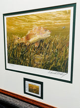Load image into Gallery viewer, Dave Hall - 2013 Texas Saltwater Stamp Print With Stamp - Brand New Custom Sporting Frame