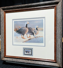 Load image into Gallery viewer, Daniel Smith 1985 Alaska Waterfowl Stamp Print With Signed Stamp - Emperor Geese - Brand New Super Custom Sporting Frame