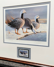 Load image into Gallery viewer, Daniel Smith 1985 Alaska Waterfowl Stamp Print With Signed Stamp - Emperor Geese - Brand New Super Custom Sporting Frame