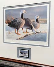 Load image into Gallery viewer, Daniel Smith 1985 Alaska Waterfowl Stamp Print With Signed Stamp - Emperor Geese - Brand New Custom Sporting Frame