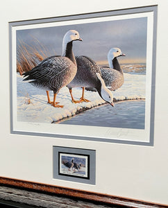 Daniel Smith 1985 Alaska Waterfowl Stamp Print With Signed Stamp - Emperor Geese - Brand New Custom Sporting Frame