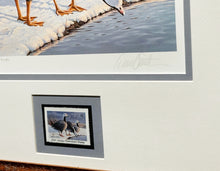 Load image into Gallery viewer, Daniel Smith 1985 Alaska Waterfowl Stamp Print With Signed Stamp - Emperor Geese - Brand New Super Custom Sporting Frame