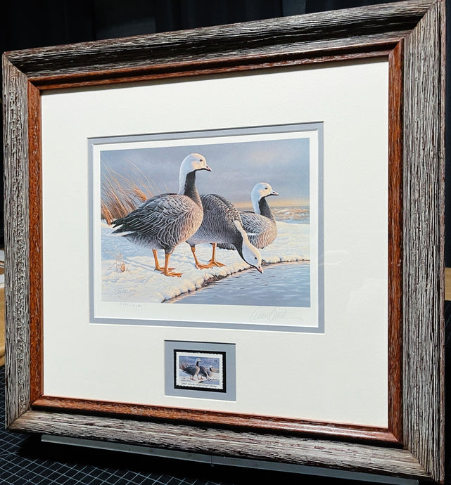 Daniel Smith 1985 Alaska Waterfowl Stamp Print With Signed Stamp - Emperor Geese - Brand New Super Custom Sporting Frame