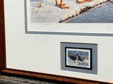 Load image into Gallery viewer, Daniel Smith 1985 Alaska Waterfowl Stamp Print With Signed Stamp - Emperor Geese - Brand New Custom Sporting Frame