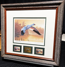 Load image into Gallery viewer, Daniel Smith 1988 Federal Duck Stamp Print Gold Medallion Edition With Double Stamps - Brand New Super Custom Sporting Frame&quot; Flying Snow Goose