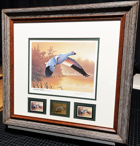 Daniel Smith 1988 Federal Duck Stamp Print Gold Medallion Edition With Double Stamps - Brand New Super Custom Sporting Frame" Flying Snow Goose