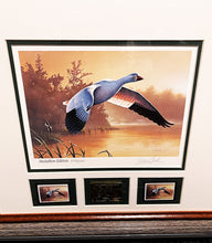 Load image into Gallery viewer, Daniel Smith 1988 Federal Duck Stamp Print Gold Medallion Edition With Double Stamps - Brand New Super Custom Sporting Frame&quot; Flying Snow Goose