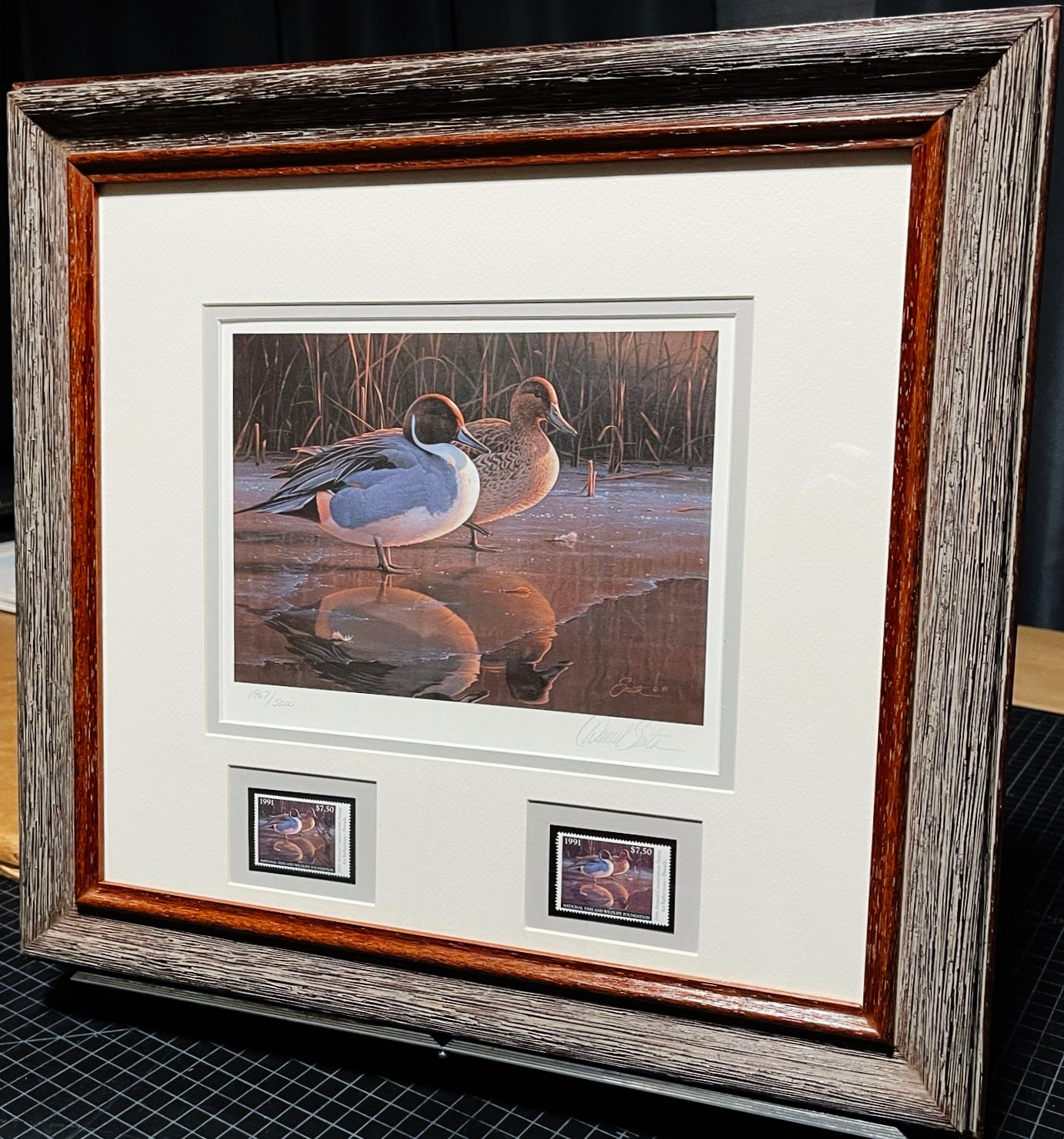 Daniel Smith 1991 National Fish & Wildlife Association Stamp Print With Double Stamps - Brand New Super Custom Sporting Frame
