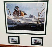 Load image into Gallery viewer, Daniel Smith 1991 Texas Waterfowl Duck Stamp Print With Double Stamps - Brand New Custom Sporting Frame