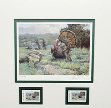 Load image into Gallery viewer, David Drinkard - 1994 Texas Turkey Stamp Print With Stamp - Brand New Custom Sporting Frame