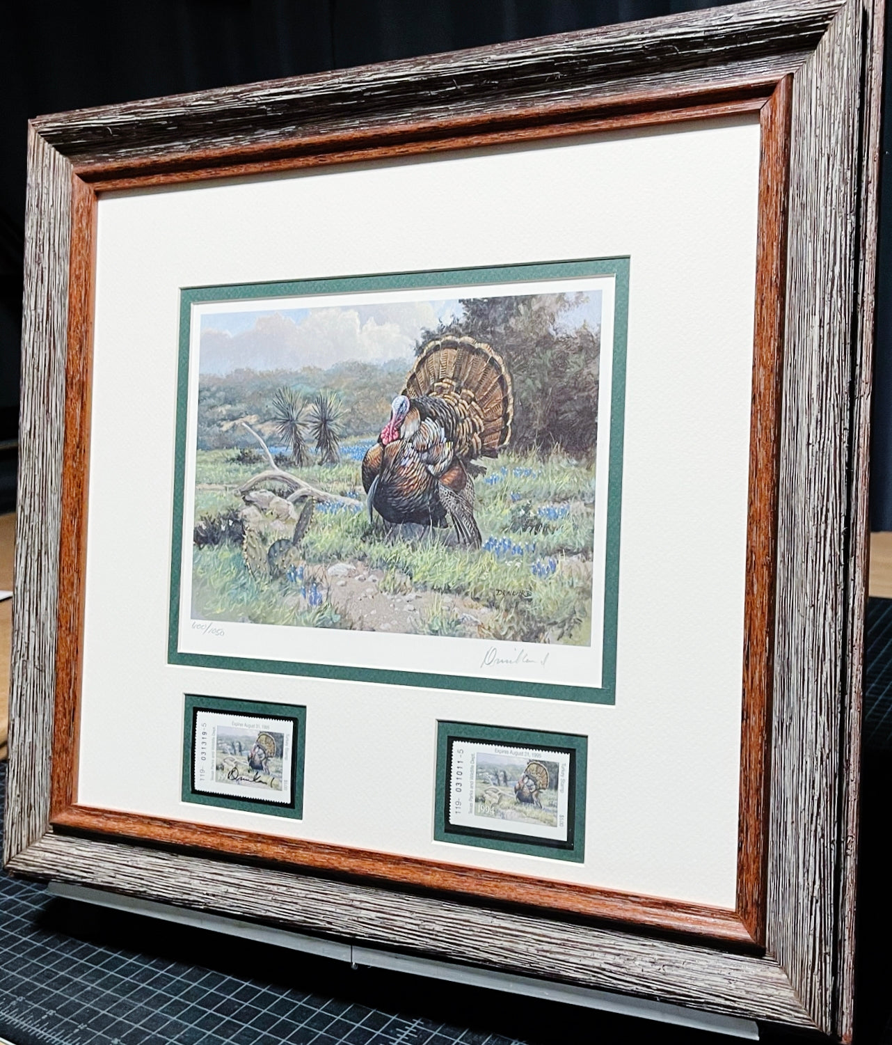David Drinkard - 1994 Texas Turkey Stamp Print With Stamp - Brand New Custom Sporting Frame
