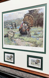 David Drinkard - 1994 Texas Turkey Stamp Print With Stamp - Brand New Custom Sporting Frame