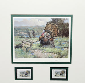 David Drinkard - 1994 Texas Turkey Stamp Print With Double Stamps - Brand New Custom Sporting Frame