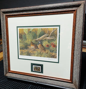 David Drinkard - 1995 Texas Quail Stamp Print With Stamp - Brand New Custom Sporting Frame