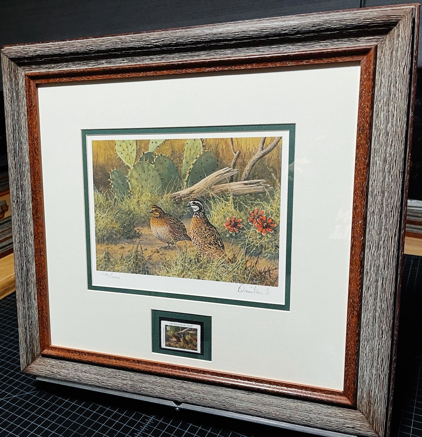 David Drinkard - 1995 Texas Quail Stamp Print With Stamp - Brand New Custom Sporting Frame