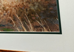 David Drinkard - Lost Sendero - Canvas On Board Print - Brand New Custom Sporting Frame