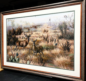 David Drinkard - Lost Sendero - Canvas On Board Print - Brand New Custom Sporting Frame