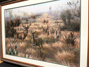 David Drinkard - Lost Sendero - Canvas On Board Print - Brand New Custom Sporting Frame