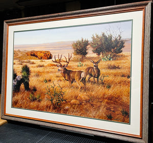 David Drinkard - Texas Mulie's - Canvas On Board Print - Brand New Custom Sporting Frame