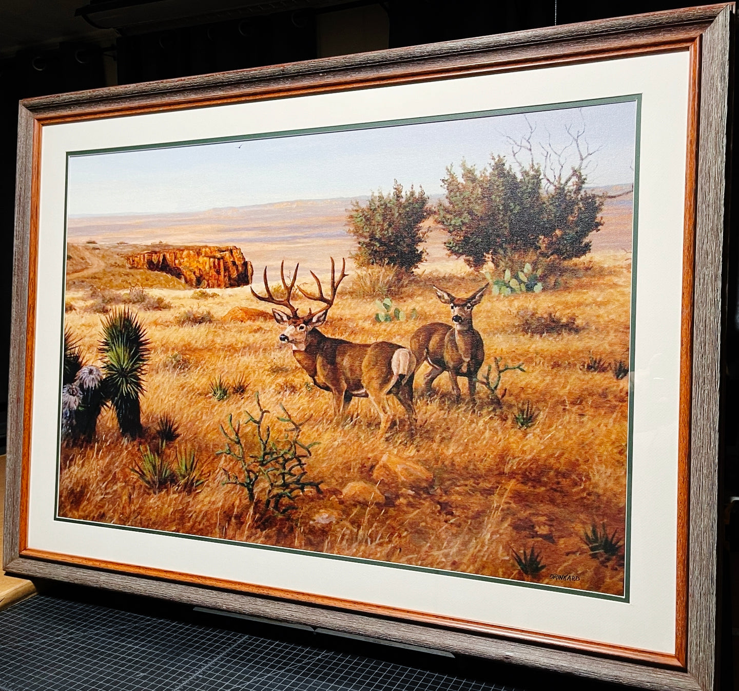 David Drinkard - Texas Mulie's - Canvas On Board Print - Brand New Custom Sporting Frame