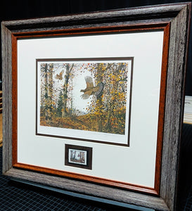 David Hagerbaumer 1981 The Ruffed Grouse Society Conservation Stamp Print With Stamp - Brand New Super Custom Sporting Frame