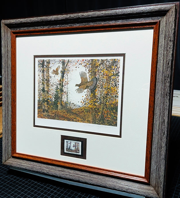 David Hagerbaumer 1981 The Ruffed Grouse Society Conservation Stamp Print With Stamp - Brand New Super Custom Sporting Frame