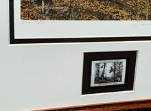 Load image into Gallery viewer, David Hagerbaumer 1981 The Ruffed Grouse Society Conservation Stamp Print With Stamp - Brand New Custom Sporting Frame