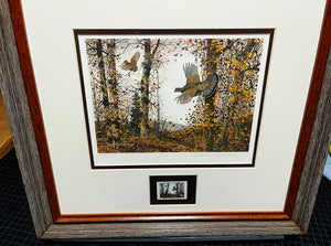David Hagerbaumer 1981 The Ruffed Grouse Society Conservation Stamp Print With Stamp - Brand New Custom Sporting Frame