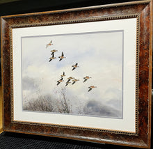Load image into Gallery viewer, David Hagerbaumer - Widgeon Pitchin&#39; In - Original Acrylic Painting - Brand New Custom Sporting Frame