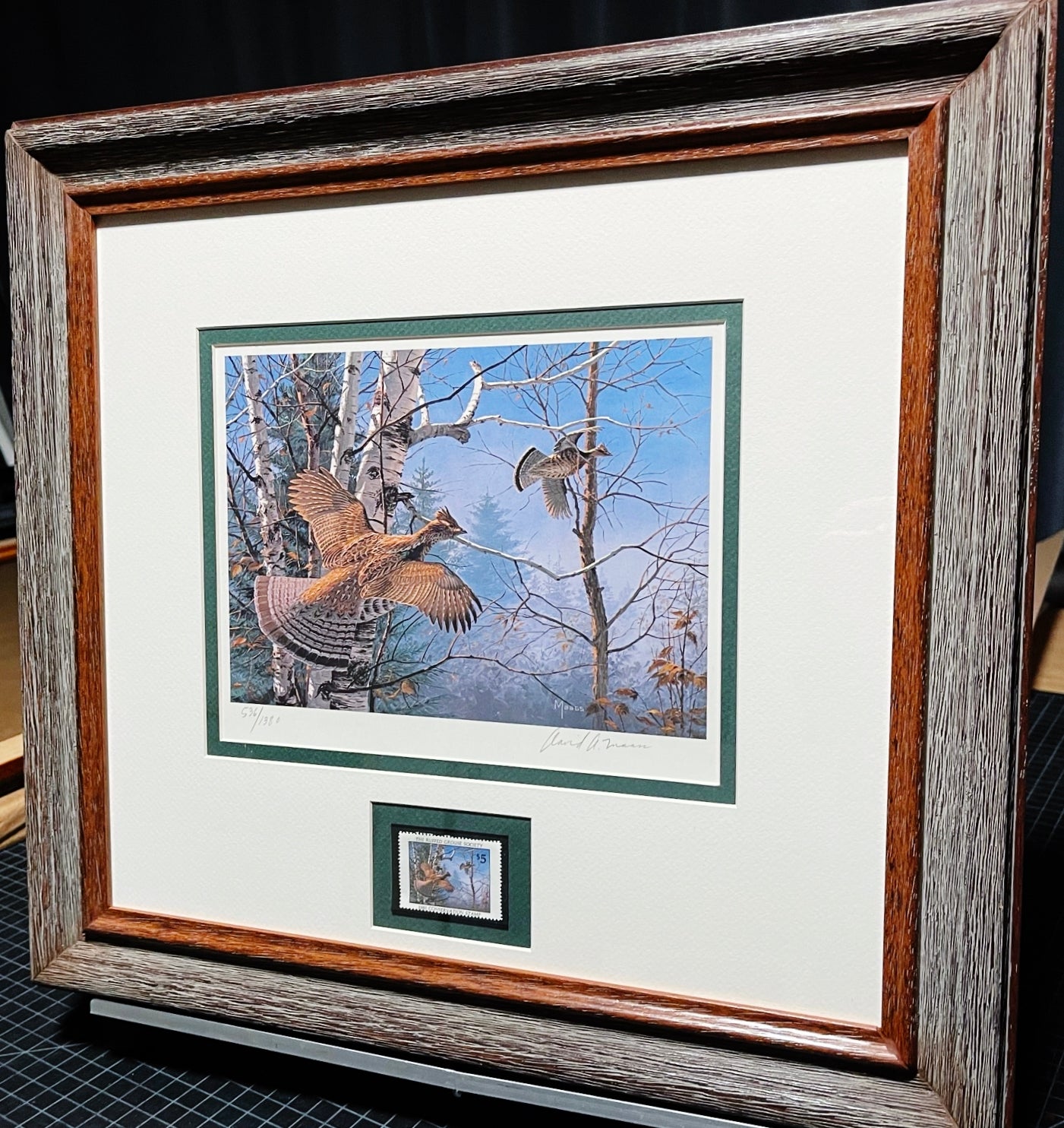 David Maass 1980 The Ruffed Grouse Society Conservation Stamp Print With Stamp - Brand New Custom Sporting Frame