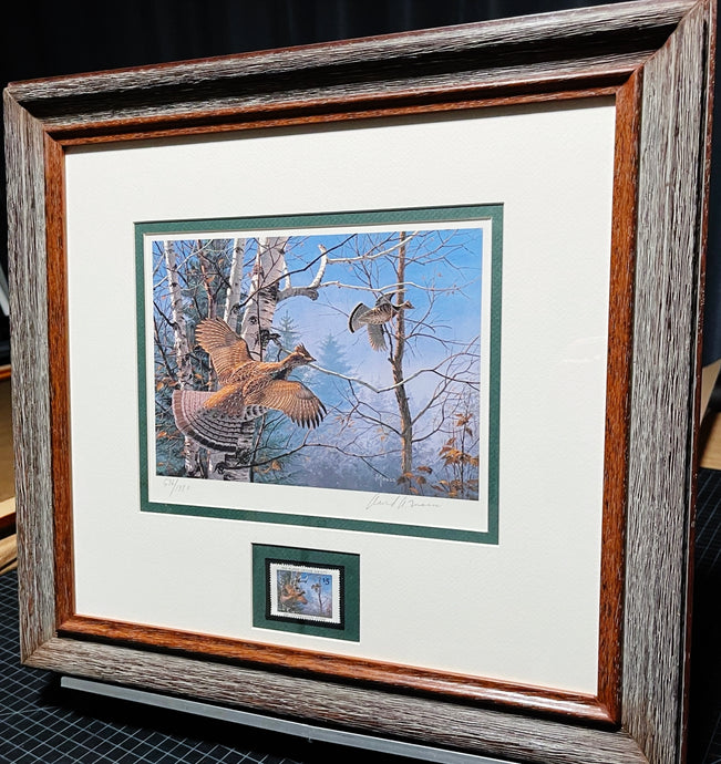 David Maass 1980 The Ruffed Grouse Society Conservation Stamp Print With Stamp - Brand New Custom Sporting Frame
