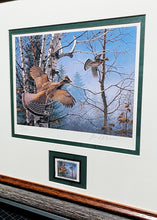 Load image into Gallery viewer, David Maass - 1980 The Ruffed Grouse Society Conservation Stamp Print With Stamp - Brand New Custom Sporting Frame