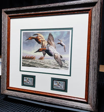 Load image into Gallery viewer, David Maass 1982 Federal Migratory Duck Stamp Print With Double Stamps - Brand New Super Custom Sporting Frame
