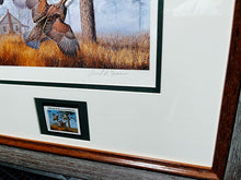Load image into Gallery viewer, David Maass - 1982 International Quail Foundation Stamp Print With Stamp - Brand New Custom Sporting Frame