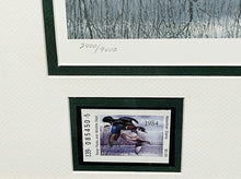 Load image into Gallery viewer, David Maass - 1984 Texas Waterfowl Duck Stamp Print With Double Stamps - Brand New Custom Sporting Frame