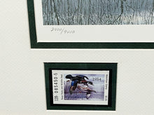 Load image into Gallery viewer, David Maass 1984 Texas Waterfowl Duck Stamp Print With Double Stamps - Brand New Custom Sporting Frame