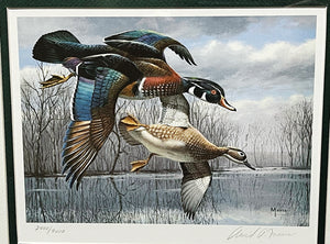 David Maass 1984 Texas Waterfowl Duck Stamp Print With Double Stamps - Brand New Custom Sporting Frame