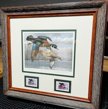 Load image into Gallery viewer, David Maass - 1984 Texas Waterfowl Duck Stamp Print With Double Stamps - Brand New Custom Sporting Frame